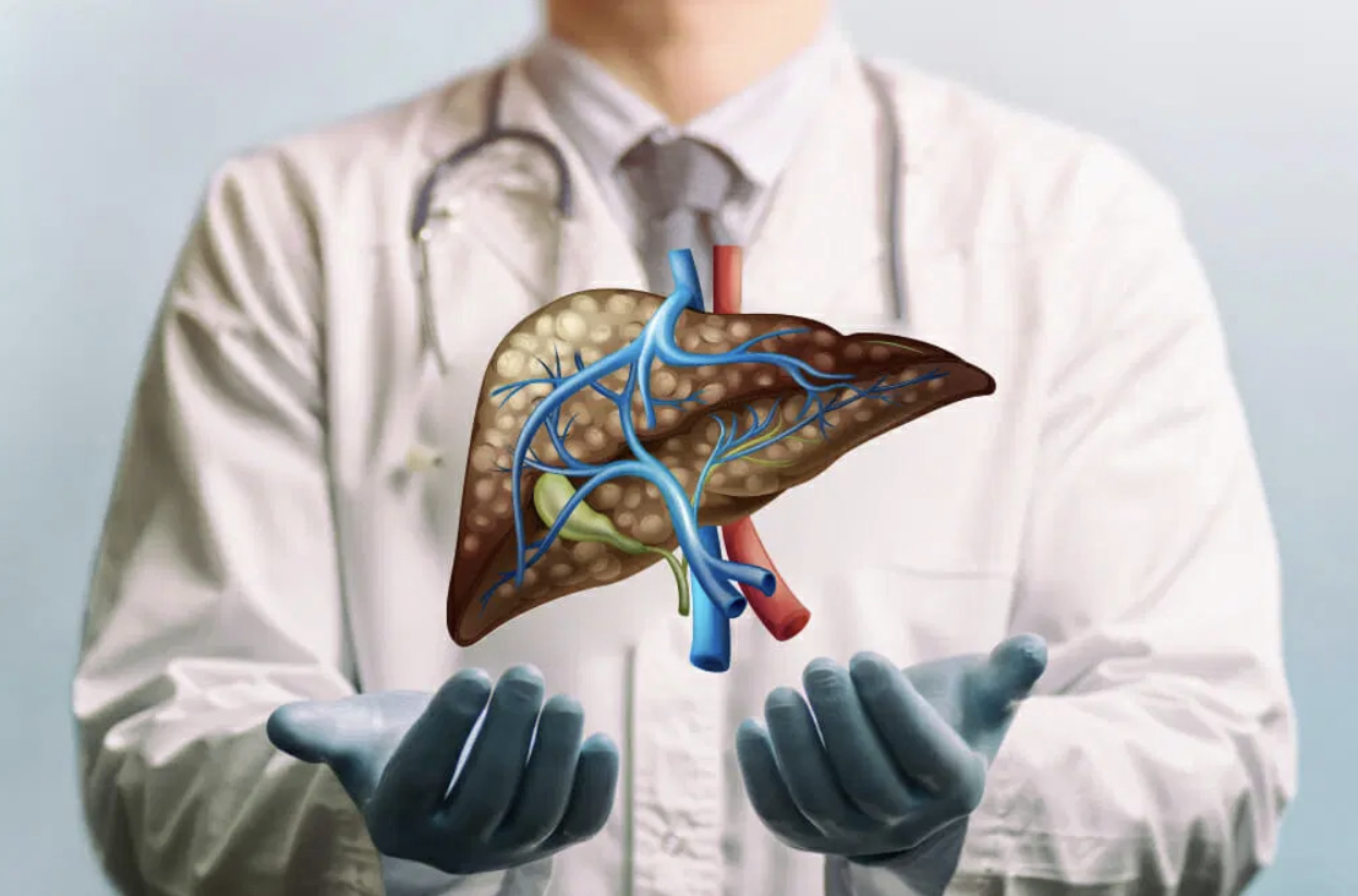 Liver Specialist Graphic